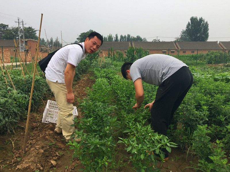 好利來郭總喊您來摘菜啦！綠色無公害，放心！