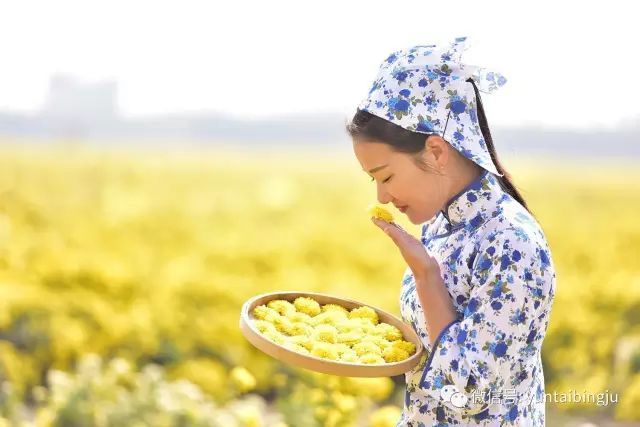 菊開剎那